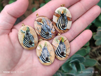 Polished Picture Stone Pendant with Hand Painted Zebra - Sold Per Item - From Namibia