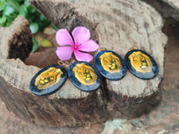 Polished Dumortierite Pendants with Hand Painted Lion - sold per item - From Mozambique