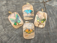 Polished Picture Stone Pendant with Hand Painted Butterfly - Sold Per Item - From Namibia