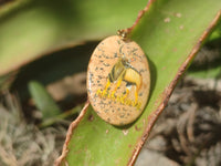 Polished Picture Stone Pendant with Hand Painted Kudu - Sold Per Item - From Namibia