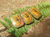 Polished Unakite Pendant with Hand Painted Lion - Sold Per Item - From South Africa