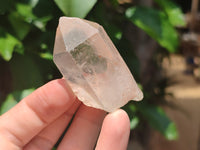 Natural Clear Quartz Crystals x 35 From Madagascar