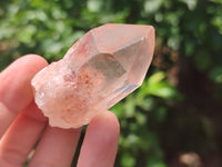 Natural Clear Quartz Crystals x 35 From Madagascar