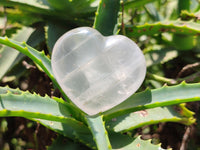 Polished Girasol Pearl Quartz Gemstone Hearts x 6 From Madagascar