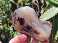 Polished On One Side Dendritic Agate x 6 From Madagascar