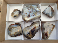 Polished On One Side Dendritic Agate x 6 From Madagascar