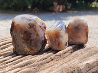 Polished On One Side Dendritic Agate x 6 From Madagascar