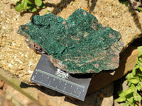 Natural Botryoidal Malachite Specimens x 2 From Tenke Fungurume, Congo