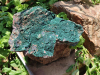 Natural Botryoidal Malachite Specimens x 2 From Tenke Fungurume, Congo