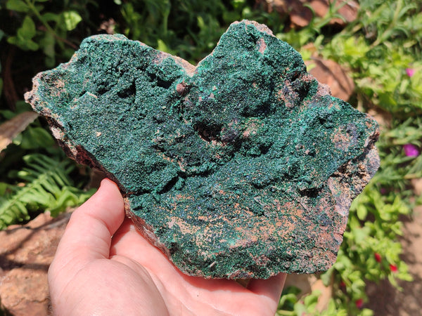 Natural Botryoidal Malachite Specimens x 2 From Tenke Fungurume, Congo