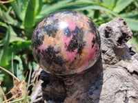 Polished Rhodonite Spheres x 2 From Ambindavato, Madagascar