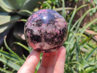 Polished Rhodonite Spheres x 2 From Ambindavato, Madagascar