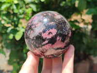 Polished Rhodonite Spheres x 2 From Ambindavato, Madagascar