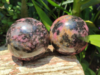 Polished Rhodonite Spheres x 2 From Ambindavato, Madagascar