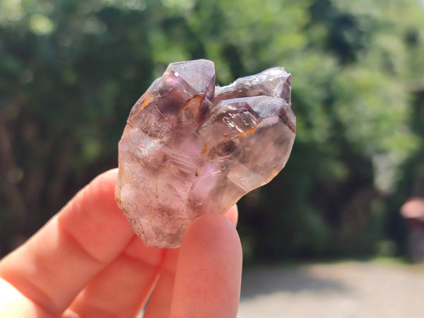 Natural Zululand Amethyst Crystals x 12 From South Africa