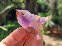 Natural Zululand Amethyst Crystals x 12 From South Africa