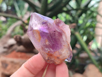 Natural Zululand Amethyst Crystals x 12 From South Africa