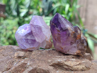 Natural Zululand Amethyst Crystals x 12 From South Africa