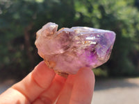 Natural Zululand Amethyst Crystals x 12 From South Africa