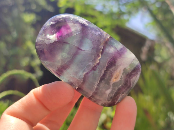 Polished Watermelon Fluorite Free Forms x 12 From Namibia