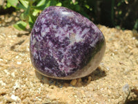 Polished Lepidolite Standing Free Forms x 4 From Zimbabwe