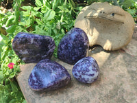 Polished Lepidolite Standing Free Forms x 4 From Zimbabwe