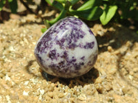 Polished Lepidolite Standing Free Forms x 4 From Zimbabwe