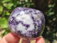 Polished Lepidolite Standing Free Forms x 4 From Zimbabwe