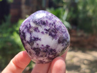 Polished Lepidolite Standing Free Forms x 4 From Zimbabwe