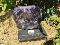 Polished Lepidolite Standing Free Forms x 4 From Zimbabwe