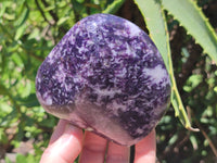 Polished Lepidolite Standing Free Forms x 4 From Zimbabwe