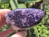 Polished Lepidolite Standing Free Forms x 4 From Zimbabwe