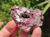 Natural Salrose Cobaltion Dolomite Specimens x 12 From Kakanda, Congo