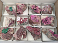 Natural Salrose Cobaltion Dolomite Specimens x 12 From Kakanda, Congo