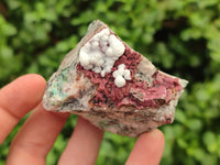 Natural Salrose Cobaltion Dolomite Specimens x 12 From Kakanda, Congo