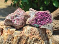 Natural Salrose Cobaltion Dolomite Specimens x 12 From Kakanda, Congo