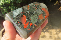 Polished Bloodstone Points x 3 From Swaziland