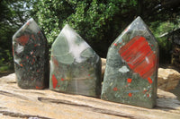 Polished Bloodstone Points x 3 From Swaziland