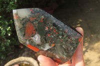 Polished Bloodstone Points x 3 From Swaziland