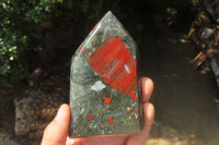 Polished Bloodstone Points x 3 From Swaziland