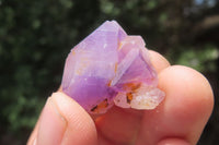 Natural Mini Flower Amethyst Crystals x 2 Kg From Madagascar