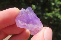 Natural Mini Flower Amethyst Crystals x 2 Kg From Madagascar