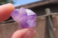 Natural Mini Flower Amethyst Crystals x 2 Kg From Madagascar