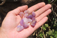 Natural Mini Flower Amethyst Crystals x 2 Kg From Madagascar