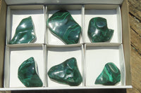 Polished Flower Banded Malachite Free Forms x 6 From Congo