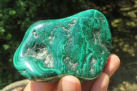 Polished Flower Banded Malachite Free Forms x 6 From Congo