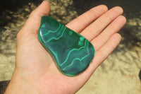 Polished Flower Banded Malachite Free Forms x 6 From Congo