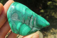 Polished Flower Banded Malachite Free Forms x 6 From Congo