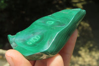 Polished Flower Banded Malachite Free Forms x 6 From Congo