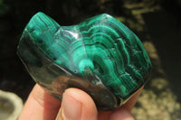 Polished Flower Banded Malachite Free Forms x 6 From Congo